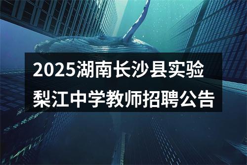 2025湖南长沙县实验梨江中学教师招聘公告 图片