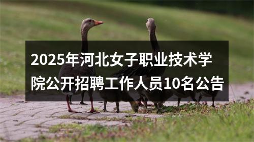 2025年河北女子职业技术学院公开招聘工作人员10名公告 图片