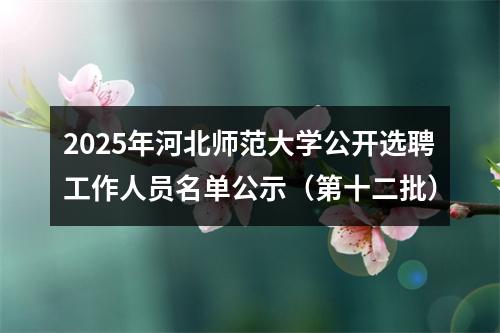 2025年河北师范大学公开选聘工作人员名单公示（第十二批） 图片