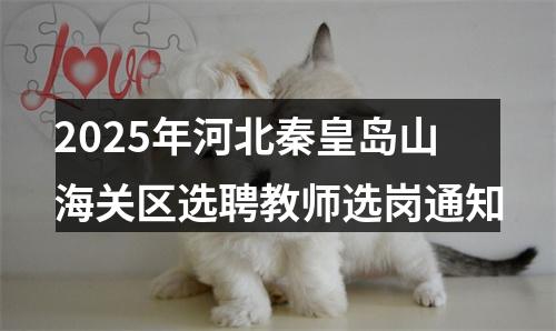 2025年河北秦皇岛山海关区选聘教师选岗通知 图片