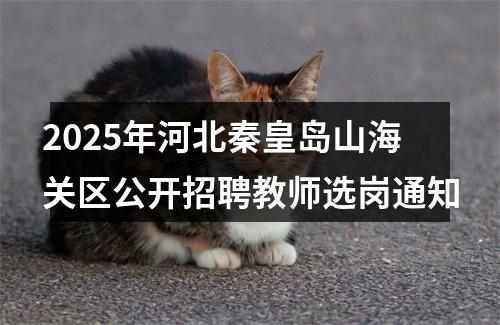 2025年河北秦皇岛山海关区公开招聘教师选岗通知 图片