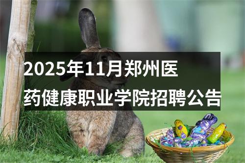2025年11月郑州医药健康职业学院招聘公告 图片