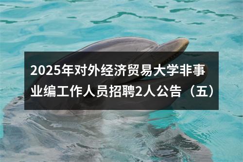 2025年对外经济贸易大学非事业编工作人员招聘2人公告（五） 图片