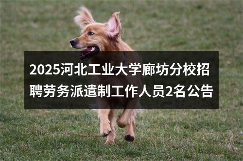 2025河北工业大学廊坊分校招聘劳务派遣制工作人员2名公告 图片