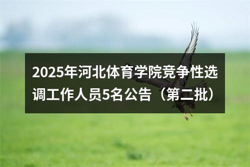 2025年河北体育学院竞争性选调工作人员5名公告（第二批） 图片