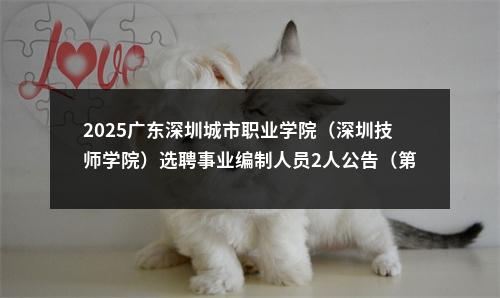 2025广东深圳城市职业学院（深圳技师学院）选聘事业编制人员2人公告（第二批）进入阅读模式 图片
