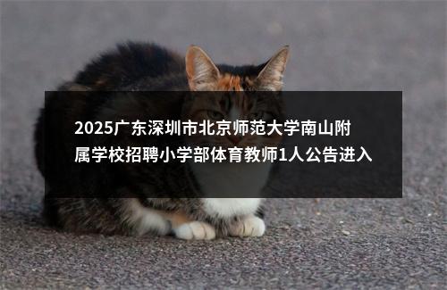 2025广东深圳市北京师范大学南山附属学校招聘小学部体育教师1人公告进入阅读模式 图片
