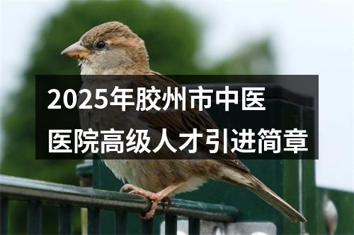 2025年胶州市中医医院高级人才引进简章 图片