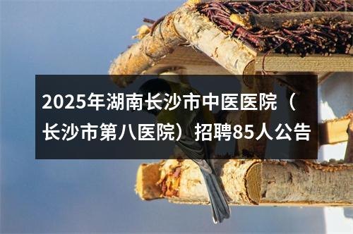 2025年湖南长沙市中医医院（长沙市第八医院）招聘85人公告 图片