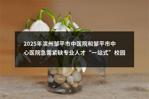 2025年滨州邹平市中医院和邹平市中心医院急需紧缺专业人才“一站式”校园招聘公告（69人） 图片