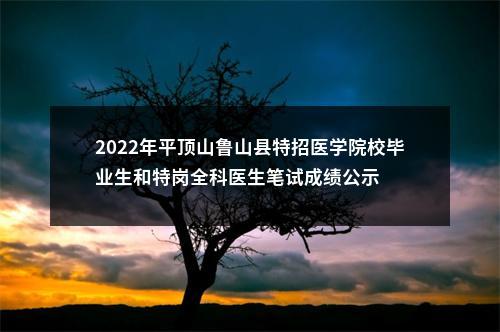 2022年平顶山鲁山县特招医学院校毕业生和特岗全科医生笔试成绩公示 图片