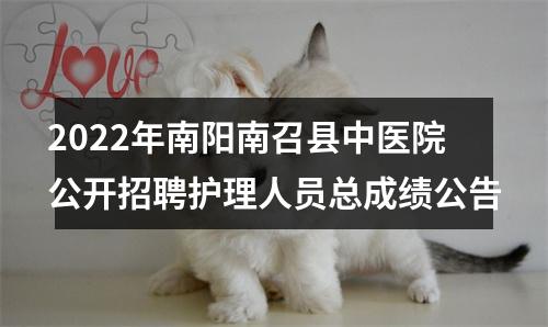 2022年南阳南召县中医院公开招聘护理人员总成绩公告 图片