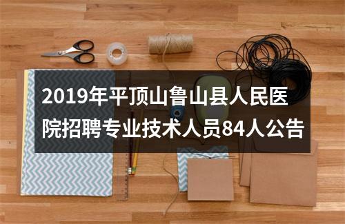 2019年平顶山鲁山县人民医院招聘专业技术人员84人公告 图片