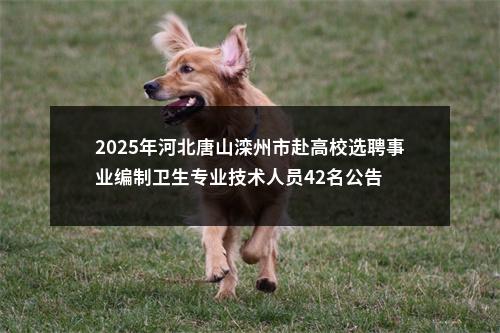 2025年河北唐山滦州市赴高校选聘事业编制卫生专业技术人员42名公告 图片