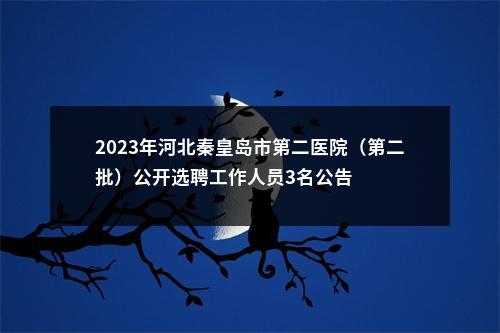 2023年河北秦皇岛市第二医院（第二批）公开选聘工作人员3名公告 图片