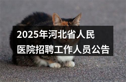 2025年河北省人民医院招聘工作人员公告 图片