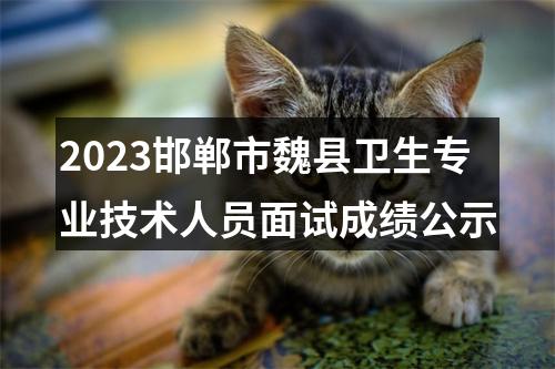2023邯郸市魏县卫生专业技术人员面试成绩公示 图片