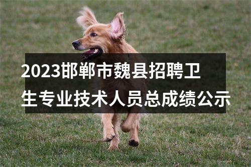 2023邯郸市魏县招聘卫生专业技术人员总成绩公示 图片