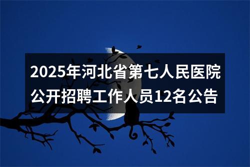 2025年河北省第七人民医院公开招聘工作人员12名公告 图片
