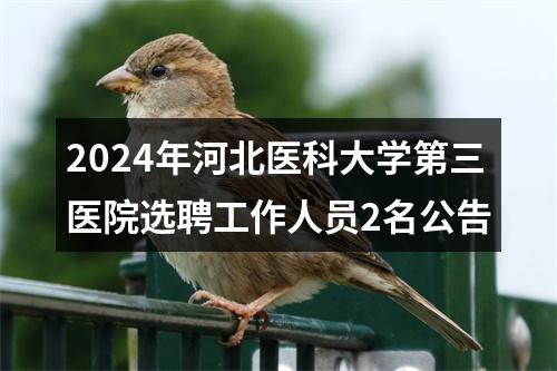 2024年河北医科大学第三医院选聘工作人员2名公告 图片