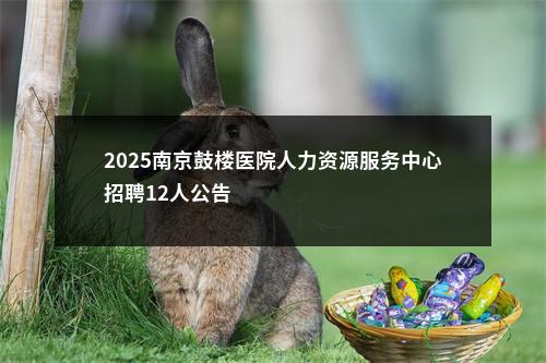 2025南京鼓楼医院人力资源服务中心招聘12人公告                进入阅读模式 图片