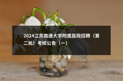 2024江苏南通大学附属医院招聘（第二批）考核公告（一）                进入阅读模式 图片