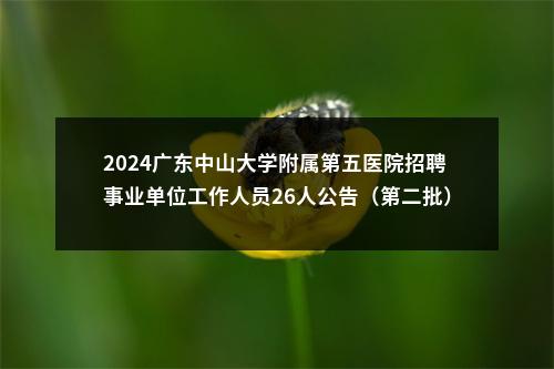 2024广东中山大学附属第五医院招聘事业单位工作人员26人公告（第二批） 图片