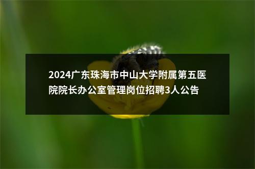 2024广东珠海市中山大学附属第五医院院长办公室管理岗位招聘3人公告 图片