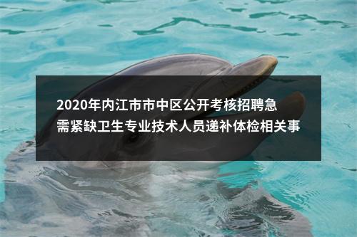 2020年内江市市中区公开考核招聘急需紧缺卫生专业技术人员递补体检相关事项的公告 图片