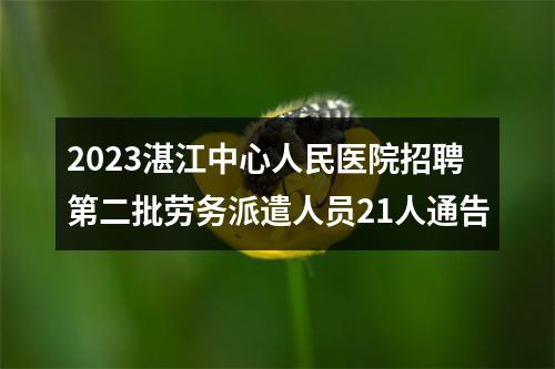 2023湛江中心人民医院招聘第二批劳务派遣人员21人通告 图片