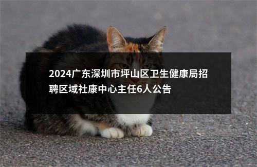 2024广东深圳市坪山区卫生健康局招聘区域社康中心主任6人公告 图片