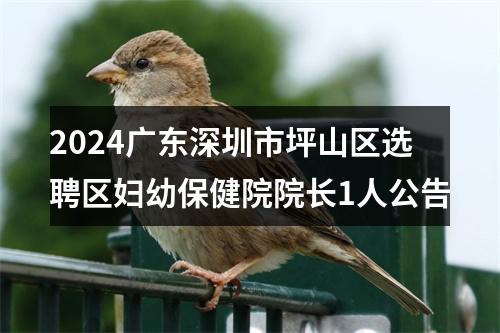 2024广东深圳市坪山区选聘区妇幼保健院院长1人公告 图片