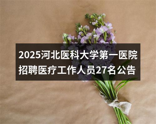 2025河北医科大学第一医院招聘医疗工作人员27名公告 图片
