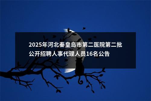 2025年河北秦皇岛市第二医院第二批公开招聘人事代理人员16名公告 图片