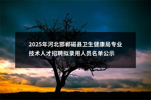 2025年河北邯郸磁县卫生健康局专业技术人才招聘拟录用人员名单公示 图片
