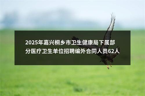 2025年嘉兴桐乡市卫生健康局下属部分医疗卫生单位招聘编外合同人员62人公告 图片