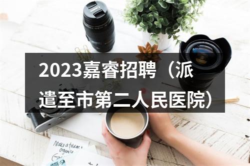 2023嘉睿招聘（派遣至市第二人民医院） 图片