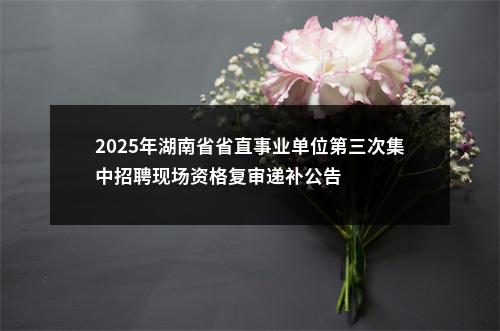 2025年湖南省省直事业单位第三次集中招聘现场资格复审递补公告 图片
