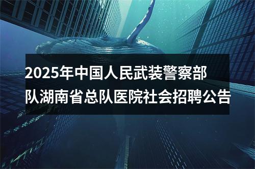 2025年中国人民武装警察部队湖南省总队医院社会招聘公告 图片