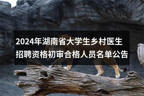 2024年湖南省大学生乡村医生招聘资格初审合格人员名单公告 图片