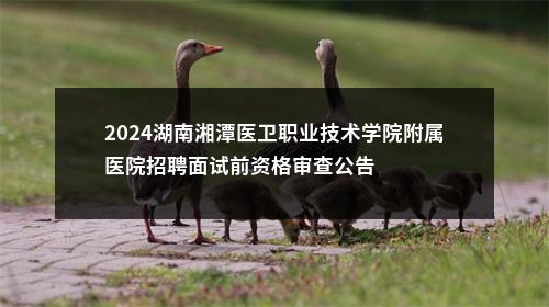 2024湖南湘潭医卫职业技术学院附属医院招聘面试前资格审查公告 图片