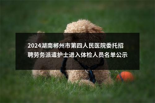2024湖南郴州市第四人民医院委托招聘劳务派遣护士进入体检人员名单公示 图片