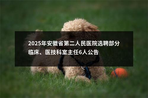 2025年安徽省第二人民医院选聘部分临床、医技科室主任6人公告 图片