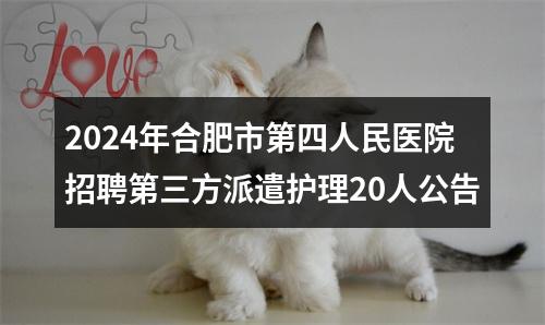 2024年合肥市第四人民医院招聘第三方派遣护理20人公告 图片