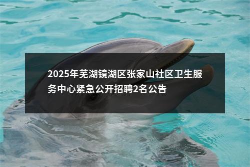 2025年芜湖镜湖区张家山社区卫生服务中心紧急公开招聘2名公告 图片