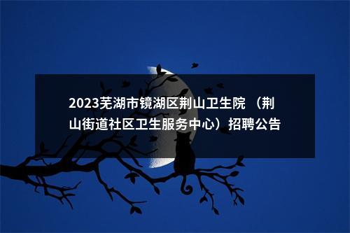 2023芜湖市镜湖区荆山卫生院 （荆山街道社区卫生服务中心）招聘公告 图片