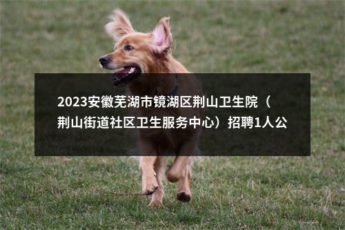 2023安徽芜湖市镜湖区荆山卫生院（荆山街道社区卫生服务中心）招聘1人公告 图片