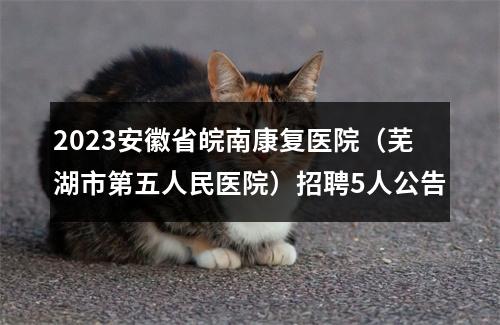 2023安徽省皖南康复医院（芜湖市第五人民医院）招聘5人公告 图片