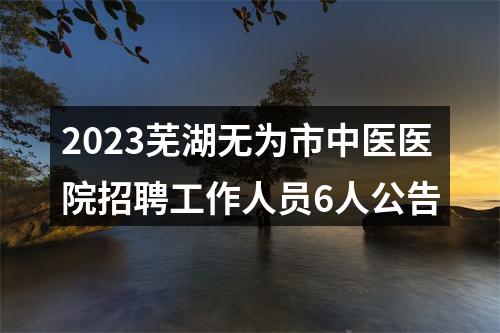 2023芜湖无为市中医医院招聘工作人员6人公告 图片