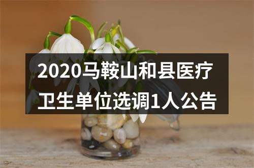 2020马鞍山和县医疗卫生单位选调1人公告 图片